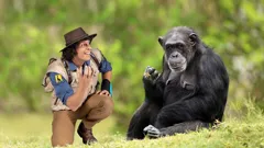 Andy's Safari Adventures