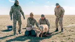 The Future of Nature