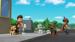PAW Patrol