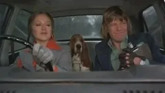 Confessions of a Driving Instructor