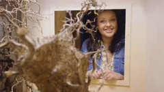 Ferne and Rory's Teeny Tiny Creatures