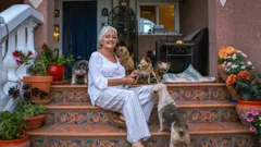 Bargain-Loving Brits in the Sun