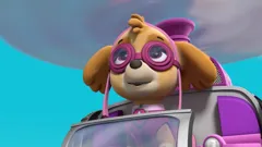 PAW Patrol