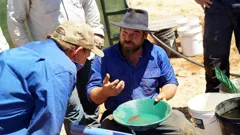 Aussie Gold Hunters