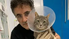 The Supervet