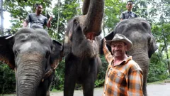 **Visually Signed** Amazing...