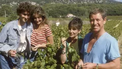 Classic Bergerac - There for the Picking