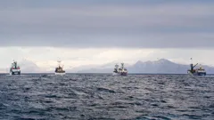 Deadliest Catch