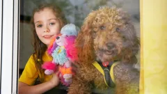 Waffle the Wonder Dog