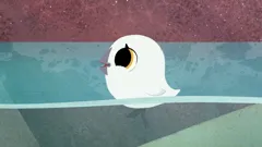 Puffin Rock
