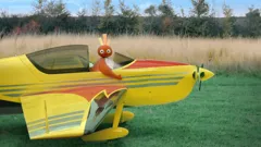 Twirlywoos