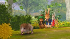Peter Rabbit