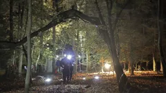 In Search Of Monsters