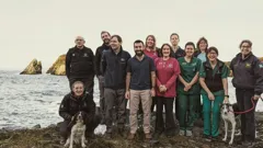 **Visually Signed**The Highland Vet