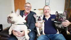 Dogs Behaving (Very) Badly