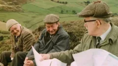 Last of the Summer Wine