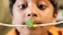 Steve and Aneeshwar Go Wild