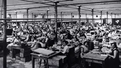 **Visually Signed* The...