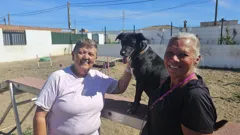 Bargain-Loving Brits in the Sun