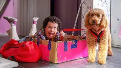 Waffle the Wonder Dog