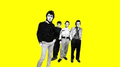 I Was A Teenage Sex Pistol