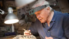 Attenborough and The Sea Dragon