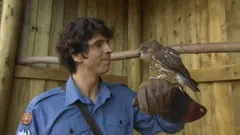 Andy's Wild Adventures