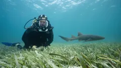 Deadly Mission Shark