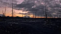 Discovered By Disaster