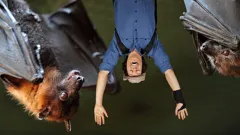 Andy's Wild Adventures