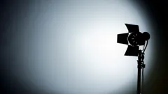 The Northman Interview Special