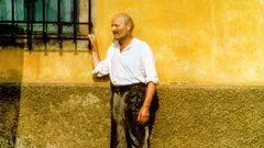 Night of the Shooting Stars