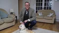 Dogs Behaving (Very) Badly