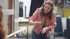 Ferne and Rory's Teeny Tiny Creatures