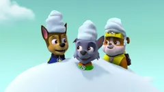 PAW Patrol