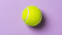 WTA Guadalajara