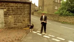 Last of the Summer Wine