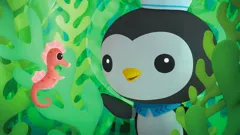 Octonauts