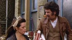 Last of the Summer Wine