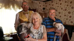 Dogs Behaving (Very) Badly