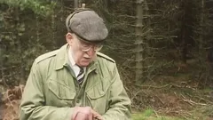 Last of the Summer Wine