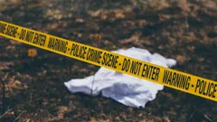 Bloodline Detectives