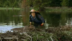 Andy's Wild Adventures