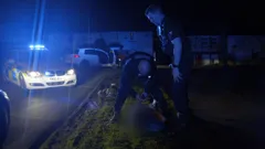 Traffic Cops