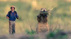 Andy's Wild Adventures