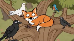 Nick Cope's Popcast