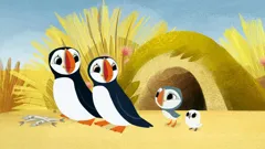 Puffin Rock (As Gaeilge)