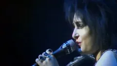 Siouxsie And The Banshees