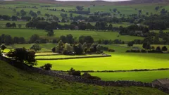 Escape to the Country
