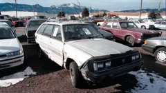 Bloodline Detectives